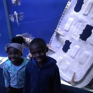 Meet your Posher, Anthony